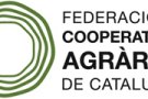 Les cooperatives agràries treballen per garantir la provisió d’aliments