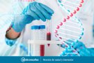 PCR i test ràpids per al diagnòstic del Covid-19 com funcionen i en què es diferencien?