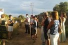 Un estiu de rutes culturals