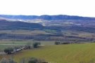 El Departament d'Agricultura abona 4,7 M€ dels ajuts directes associats al sector agrícola de la PAC de l'any 2020 a 11.645 beneficiaris