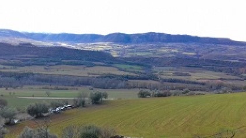 El Departament d'Agricultura abona 4,7 M€ dels ajuts directes associats al sector agrícola de la PAC de l'any 2020 a 11.645 beneficiaris