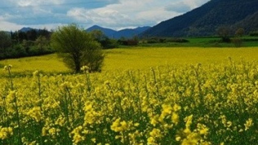El Departament d'Agricultura abona 189.187 euros de l'ajut agroambiental de Gestió de la Fertilització de l'any 2020