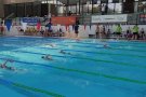 Intens cap de setmana de natació al Vendrell