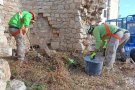 Actuació de neteja i de conservació a la torre del Cintoi 