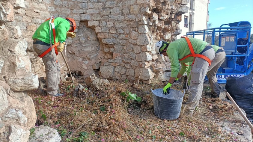 Actuació de neteja i de conservació a la torre del Cintoi 