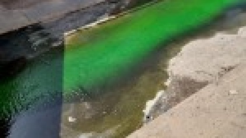 Avui el Torrent del Lluch