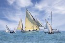 La Festa de la Mar de Catalunya, que enguany acollirà Calafell, escalfa motors