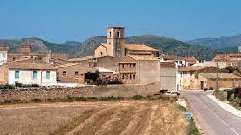 Projecten una central fotovoltaica amb més de 17.000 panells solars a Sant Jaume dels Domenys