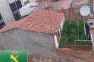 Un detingut al Vendrell per conrear 18 plantes de marihuana