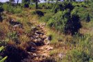Lliurats els premis del XV Concurs de Fotografia del Museu Arqueològic del Vendrell