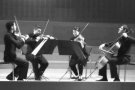 El “Cuarteto Klimt”, protagonista del proper concert del Cicle de Tardor 