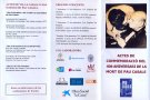 El Vendrell commemora el 40è aniversari de la mort de Pau Casals