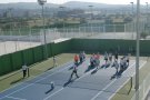 Dia Mundial del tennis
