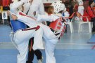 7 pòdiums pel Taekwondo La Lira Vendrellenca  al Catalunya Infantil