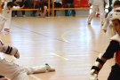 El Taekwondo de la Lira vendrellenca, a les trobades de Bellvei i Sarral