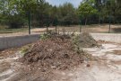 Els punts verds es reconverteixen