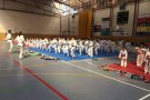 Primera trobada de taekwondo i hapkido Chois celebrat a Vilafranca del Penedès