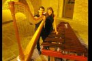 El pròxim dissabte 16 d’Agost, gaudirem de “Blooming Duo” en un concert gratuït al Festival Jove “Música als Jardins” de la Vil·la Museu Pau Casals 