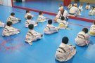 Inici de temporada 2014-2015 al Gimnàs Olímpic El Vendrell 