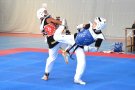 El taekwondo de la lira, a la trobada de Castelló