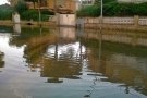 Associació de Residents i Propietaris de Coma-ruga