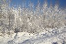 L’AP-7 entre Martorell i El Vendrell està totalment tallada per les fortes nevades