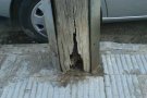Un pal telefònic en mal estat porta perill a Coma-ruga