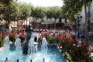 La colla sardanista  de la Lira Vendrellenca organitza la 4a Trobada de colles veteranes