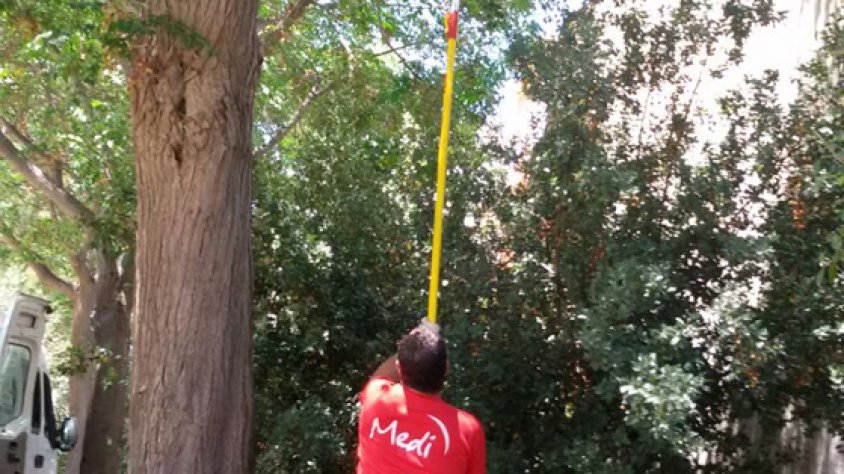 Un dels treballadors realitzant tasques de manteniment a l’Arboç