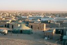 L’Ajuntament de l’Arboç s’involucra amb la greu crisi humanitària del poble saharauí