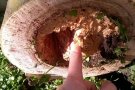 Retirada de dos arbres de la plaça Nova per prevenció i seguretat