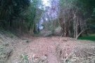 L'ACA i l'Ajuntament de Sant Jaume dels Domenys adeqüen prop de 800 metres d'un torrent del municipi per garantir la circulació de l'aigua