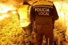 La Guàrdia Civil en col·laboració amb la Policia Local del Vendrell, deté un home per elaboració, cultiu i tràfic de marihuana