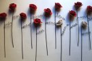 Roses per sempre