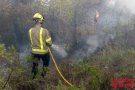 Els Bombers de la Generalitat donen per controlat l’incendi forestal de Calafell