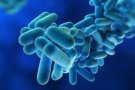 Es realitzen tractaments de control de legionel·la en centres educatius del municipi