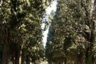 Horaris dels cementiris amb motiu de Tots Sants