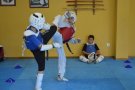 2 Ors, 4 plates i 4 bronzes pel taekwodo La Lira al infantil de Catalunya
