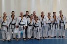 Albert Calvo subcampió d’Espanya de hapkido per equips