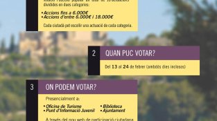 Instruccions de votació