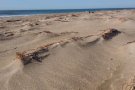El desgavell de les nostres platges. La sorra com a recurs balafiat