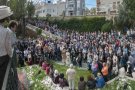 L’Arboç ja té data per la VI Fira Modernista del Penedès