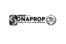 Adrià Puntí en concert al desè Sonaprop