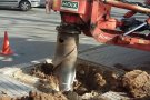 Tasques de desarrelament a la Rambla