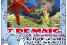 Batejos de busseig solidaris