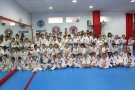 9 medalles d’or, 21 medalles d’argent i 59 medalles bronze per als Olímpics del Vendrell al Torneig Amistad de la Selva del Camp!