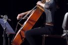 A punt la programació musical del mes d’agost de l’Auditori Pau Casals