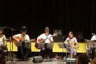 Els Marsupialis seran els protagonistes del proper concert de Música a la Vila del Vendrell