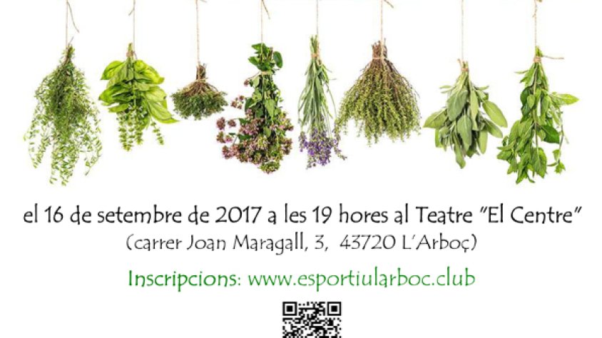 Cartell promocional de l’activitat.