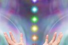 L’Activitat de Reiki fa una donació a la Regidoria de Serveis Socials de l’Ajuntament de l’Arboç